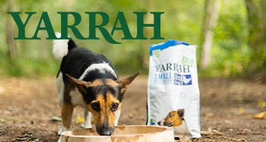 Yarrah : chiens ou chats, eux aussi ils y ont droit !
